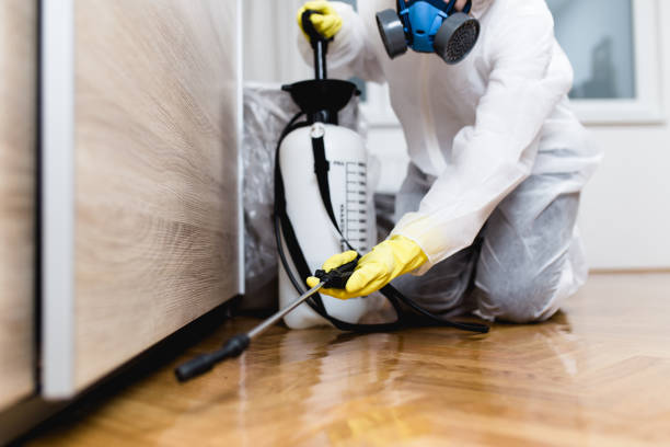 Best Affordable Pest Control Services  in New Brunswick, NJ