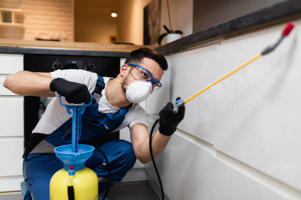 Best Pest Control Near Me  in New Brunswick, NJ