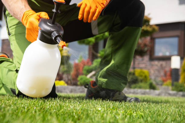 Professional Pest Control in New Brunswick, NJ