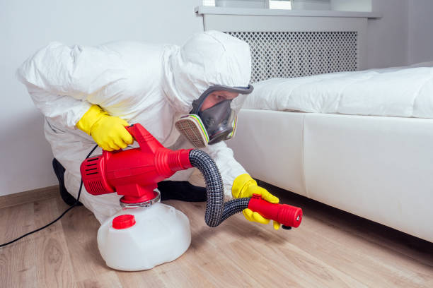 Best Pest Removal Services  in New Brunswick, NJ