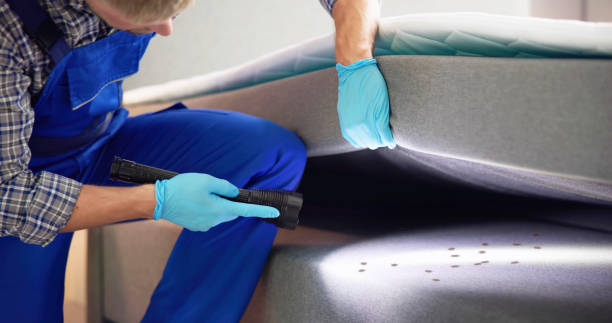 Best Exterminator Services  in New Brunswick, NJ