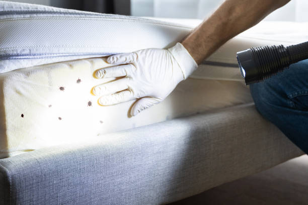 Best Best Pest Control Companies  in New Brunswick, NJ