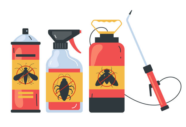 Best Termite Control Services  in New Brunswick, NJ